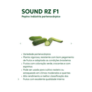 PEPINO INDÚSTRIA HÍBRIDO SOUND F1 RIJK ZWAAN 1000 SEMENTES