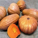 SEMENTES ABOBORA SERGIPANA TOPSEED 100G