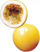 MARACUJA HIBRIDO SOL DO CERRADO AGROCINCO/EMBRAPA 1000 SEMENTES