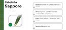 SEMENTES CEBOLINHA HIBRIDA SAPPORE 500G HORTICERES