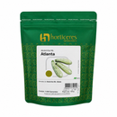 ABOBRINHA ITALIANA HIBRIDA ATLANTA HORTICERES 1000 SEMENTES