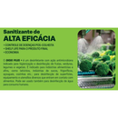 SANITIZANTE DIOXI PLUS+ CONTROLE FUNGOS BACTERIAS 5L