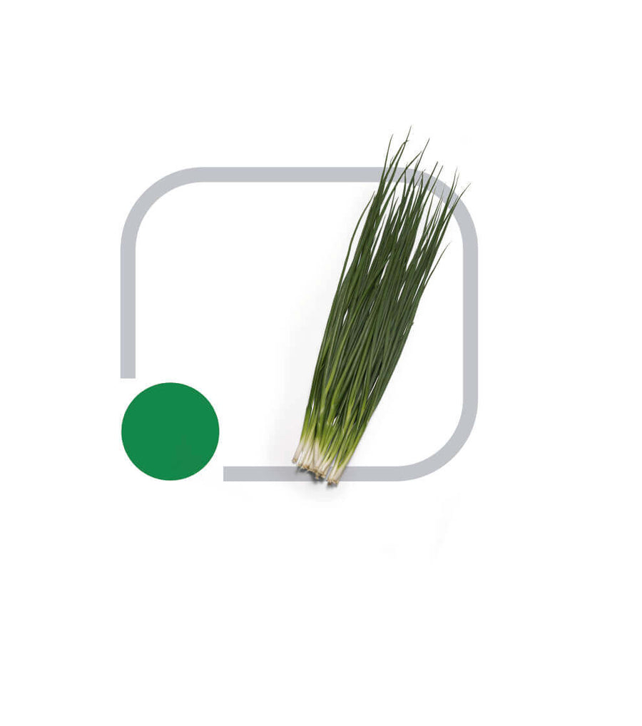 Sementes Cebolinha Tokyo Kuro Horticeres 100g
