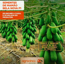MAMAO HIBRIDO BELA NOVA F1 AGROCINCO 500 SEMENTES