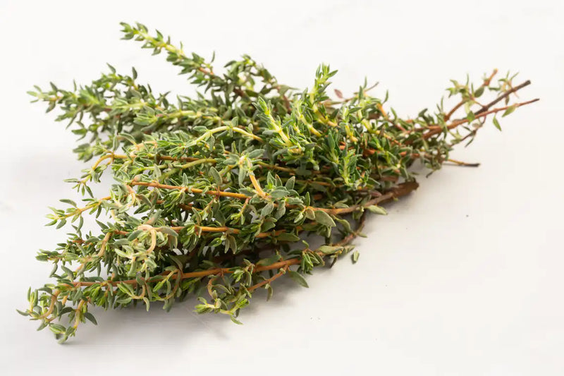 SEMENTES TOMILHO HORTICERES 50G