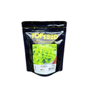 ALFACE LISA ELISANGELA TOPSEED PREMIUM 10000 SEMENTES