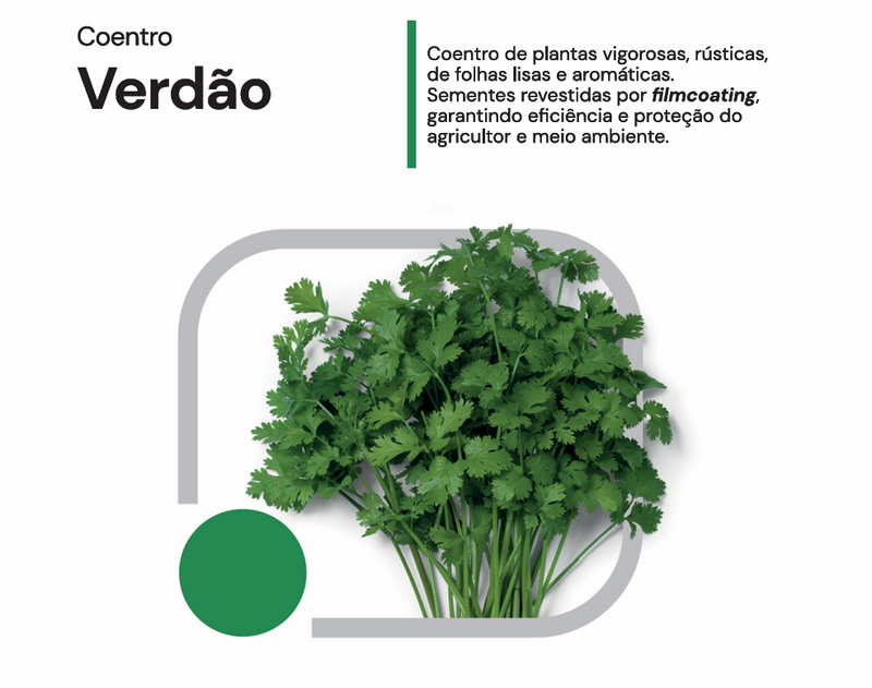 COENTRO VERDAO BANDINHA HORTICERES 500G