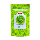 ALFACE CRESPA DANIELE EAST WEST SEED 3000 SEMENTES