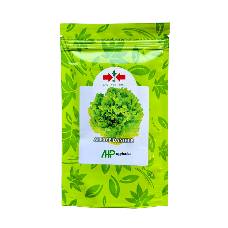 ALFACE CRESPA DANIELE EAST WEST SEED 3000 SEMENTES