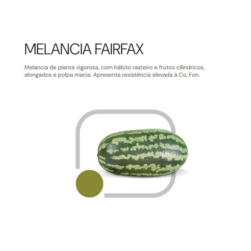 SEMENTES MELANCIA FAIRFAX HORTICERES 100g
