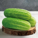 SEMENTES PEPINO CAIPIRA TSV 100G