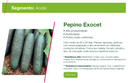 PEPINO HIBRIDO EXOCET SEMINIS 3000 SEMENTES