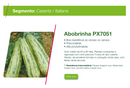 ABOBRINHA HIBRIDA PX 7051 SEMINIS 1000 SEMENTES