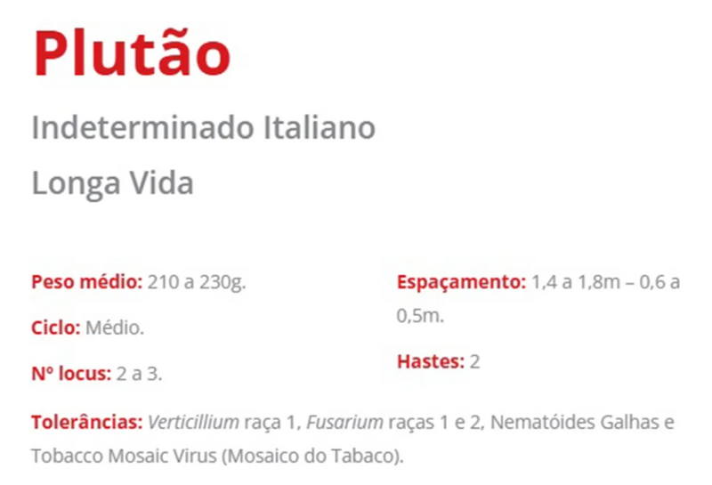 TOMATE HÍBRIDO PLUTÃO BLUESEEDS 1000 SEMENTES