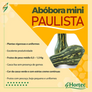 SEMENTES ABÓBORA MINI PAULISTA 100G