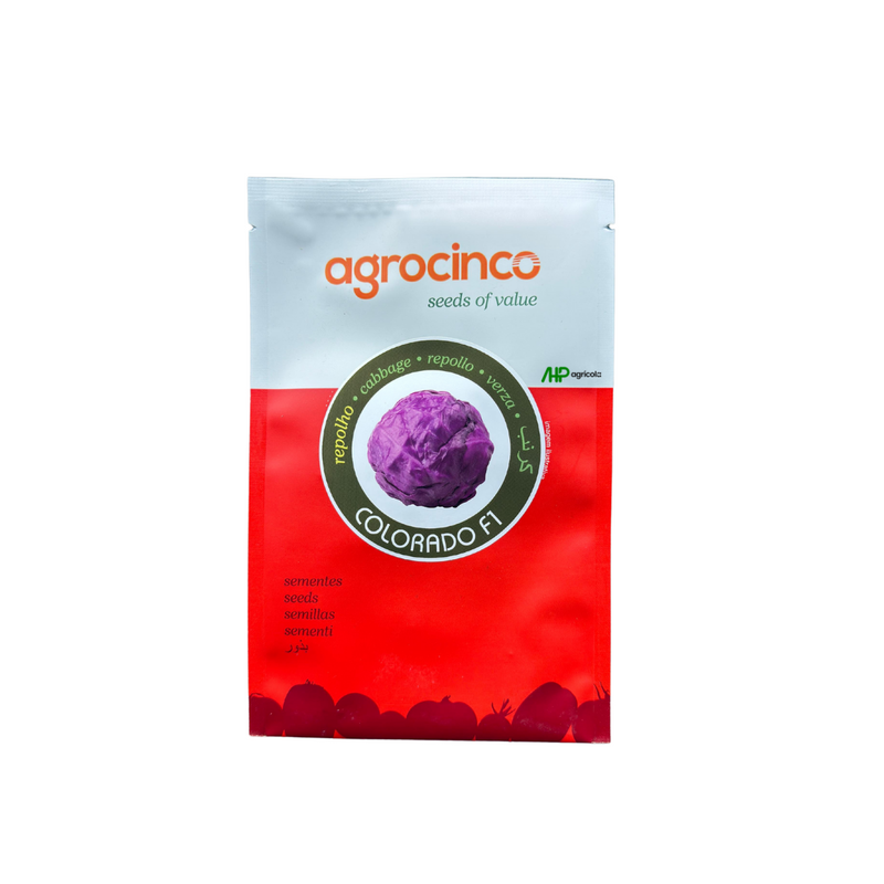 REPOLHO HIBRIDO ROXO COLORADO AGROCINCO 1000 SEMENTES