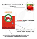 TOMATE HIBRIDO NAGAI AGROCINCO/EMBRAPA 1000 SEMENTES