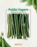 SEMENTES FEIJAO VAGEM RASTEIRO FARTURA 1KG HORTIVALE