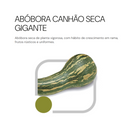SEMENTES ABÓBORA CANHÃO SECA GIGANTE HORTICERES 100G