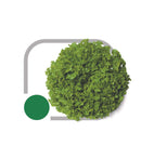 ALFACE MIMOSA GABI HORTICERES 5000 SEMENTES