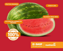 MELANCIA HIBRIDA BRABBA BASF NUNHEMS 1000 SEMENTES