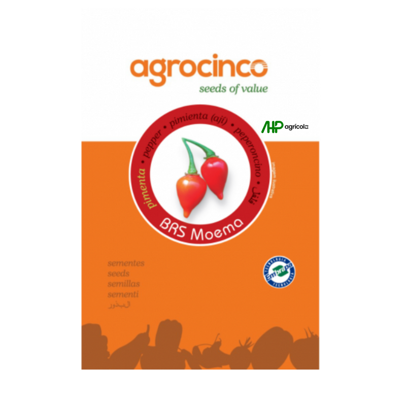 PIMENTA BIQUINHO BRS MOEMA AGROCINCO EMBRAPA 100 SEMENTES