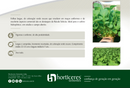SEMENTES RUCULA SELECTA HORTICERES 100G