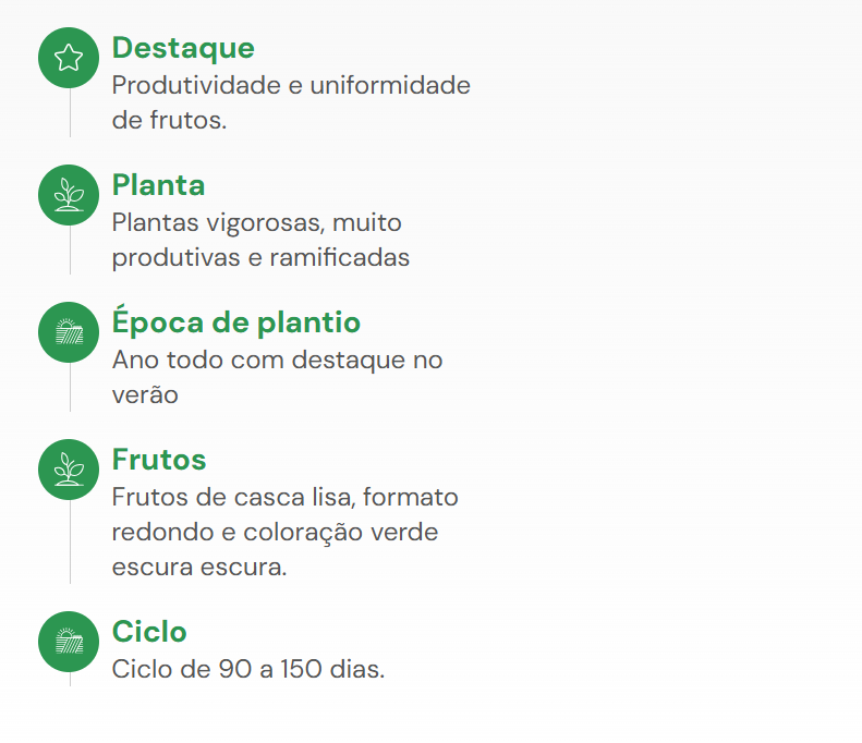 SEMENTES JILO MORRO REDONDO HORTICERES 100G