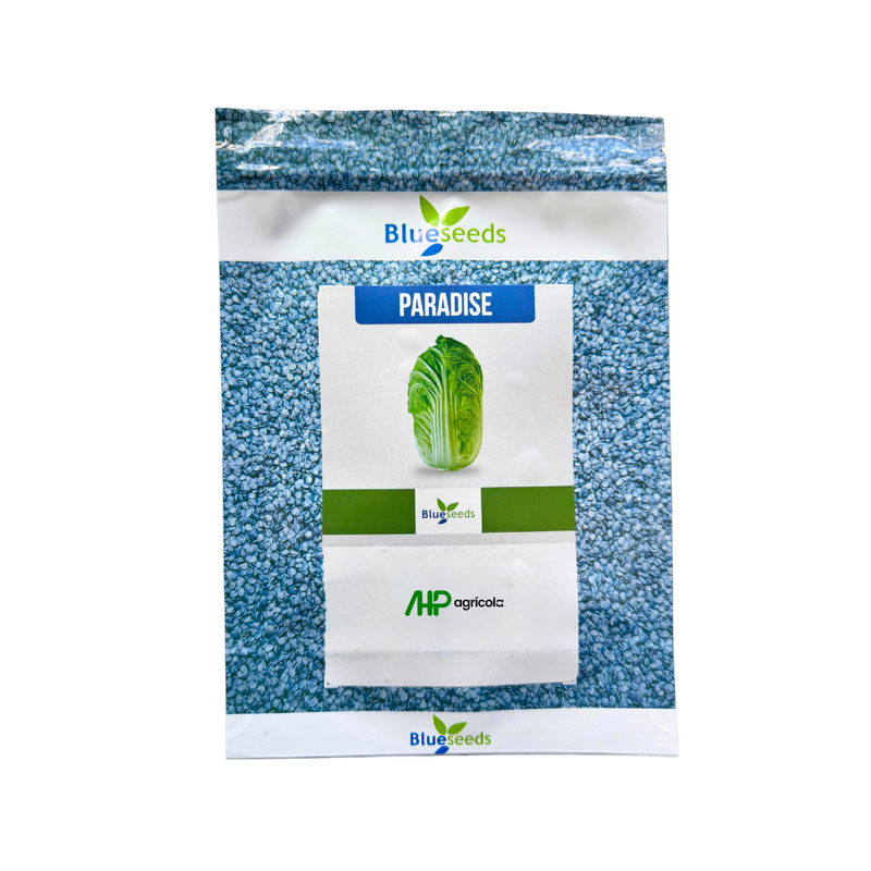 COUVE-CHINESA HÍBRIDA PARADISE BLUESEEDS 2500 SEMENTES
