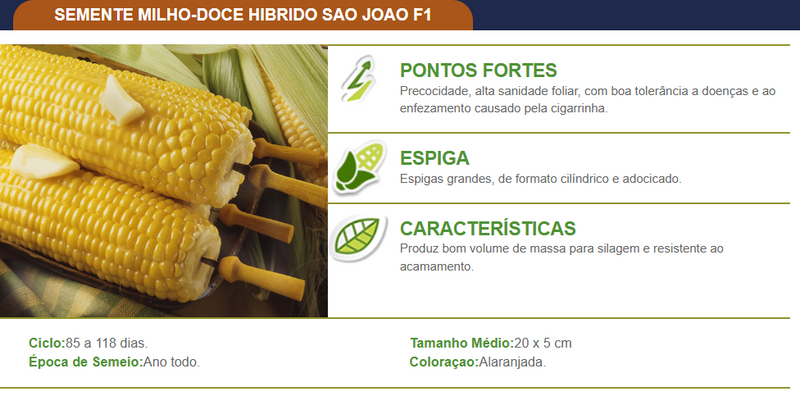 MILHO DOCE HIBRIDO SAO JOAO F1 TOPSEED 5000 SEMENTES