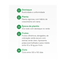 SEMENTES ABÓBORA CANHÃO SECA GIGANTE HORTICERES 100G