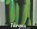 PEPINO HÍBRIDO F1 TARGUS FELTRIN 1000 SEMENTES