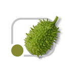 SEMENTES MAXIXE DO NORTE HORTICERES 100G