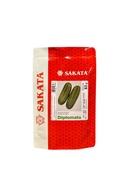 PEPINO HÍBRIDO CAIPIRA DIPLOMATA SAKATA 3000 SEMENTES