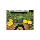 ABOBORA HIBRIDA TETSUKABUTO B8A TAKII 300G