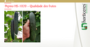 PEPINO HIBRIDO HS1020 HORTICERES 3000 SEMENTES