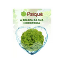 ALFACE CRSPA PSIQUE SAKATA 7500 SEMENTES