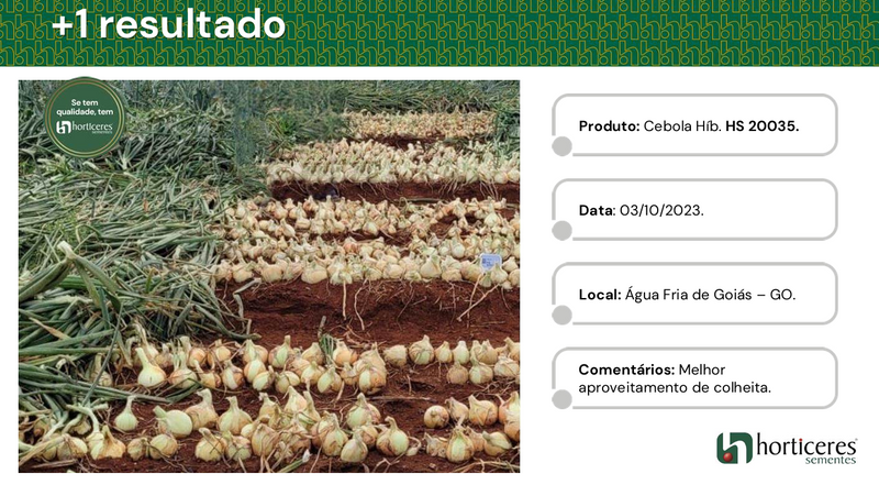 CEBOLA HÍBRIDA RAÍZA HORTICERES 100.000 SEMENTES