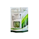 REPOLHO HIBRIDO ASTRUS PLUS SEMINIS 25000 SEMENTES