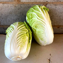 COUVE-CHINESA HÍBRIDA PARADISE BLUESEEDS 2500 SEMENTES