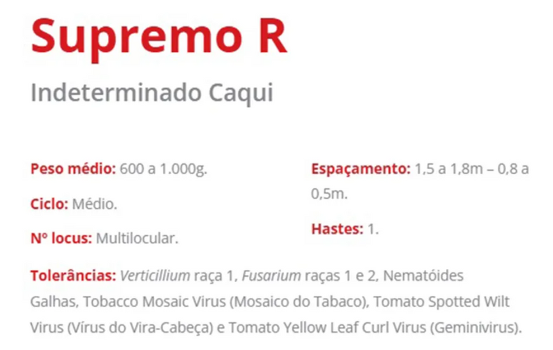 TOMATE HÍBRIDO SUPREMO R BLUESEEDS 1000 SEMENTES