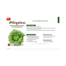 ALFACE AMERICANA ANGELINA SAKATA 7500 SEMENTES