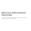 SEMENTES BROCOLIS VERAO RAMOSO PIRACICABA HORTICERES 100G