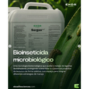 BIOINSETICIDA SARGAS BACILLUS THURINGIENSIS 1L