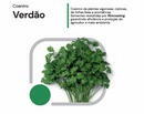 SEMENTES COENTRO VERDAO BANDA HORTICERES 5KG