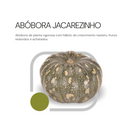 SEMENTES ABÓBORA JACAREZINHO HORTICERES 100G