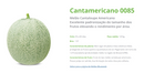 MELAO CANTALOUPE BS CANTAMERICANO BLUESEEDS 1000 SEMENTES