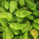 SEMENTES PIMENTA CHEIRO LUPITA 10000 SEMENTES FELTRIN