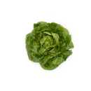 ALFACE MINI ROMANA TUDELA RIJK ZWAAN 1000 SEMENTES