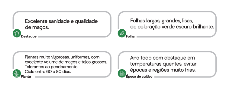 SEMENTES COENTRO PORTUGUES ARUBA HORTICERES 5KG